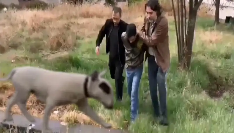 430 Bin Lira Değerindeki Şampiyon Köpek Hırsızı Yakalandı