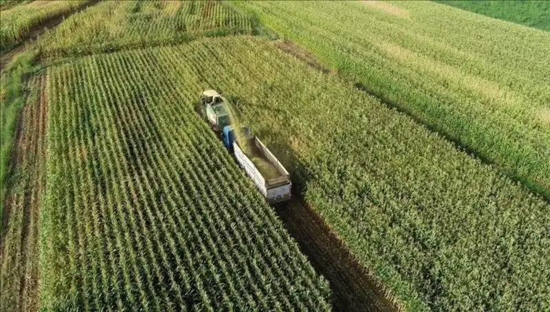 Mazot ve Gübre Desteği Ödemeleri Hakkında Son Durum: 2025'te Neler Olacak?