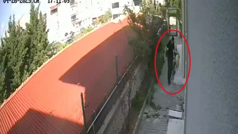 Veteriner Doktorun Şok Edici Suçlaması: Sahiplendiği Köpekleri Katletti!