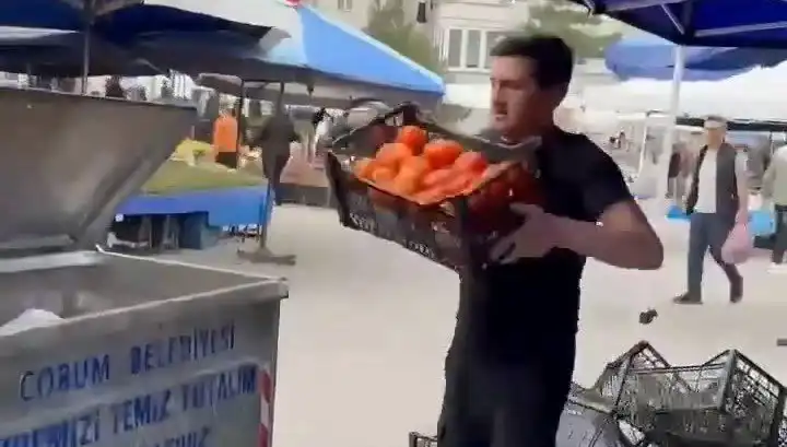 Pazarcının Domatesleri Çöpe Dökmesi, Cezasıyla Göz Doldurdu!