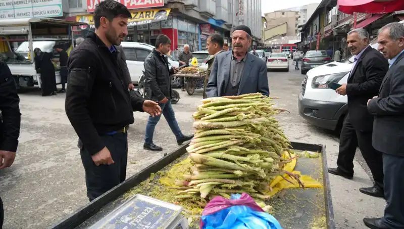 Dağlık Alanlardan Toplanan Şekerin Sağlığa Faydaları: Kanser ve Mide Hastalıklarına Etkisi