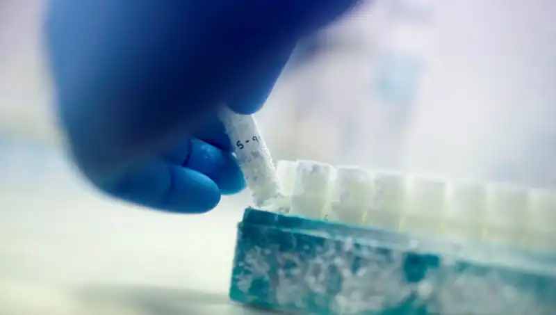 Tıbbi Felaket: 85 Sperm Donörüyle Binyıllık Baba Olma İddiası