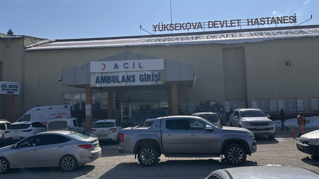 Müfettiş, Başıboş Köpeklerin Saldırısında Ölen Çocuğun Ölümünü Araştıracak