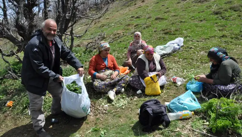 Dört Mevsim Doğanın Verdiği Hazine: Yürüyerek Topladıkları Mantarı Satıyorlar