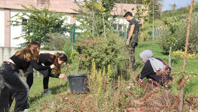 Düzce'nin Yıldızı: Hayal Olmaktan Gerçekliğe Dönüşen Başarı Hikayesi