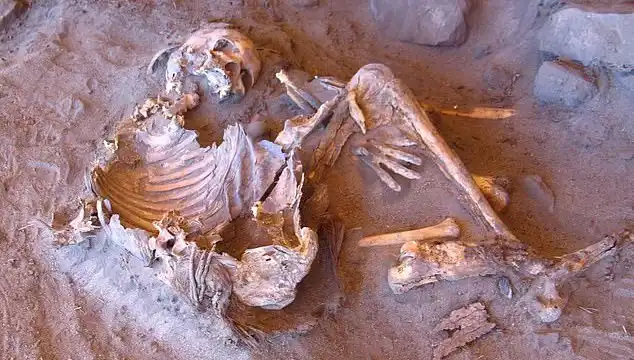 Yeni Mumya Keşfi, İnsanlık Tarihine Işık Tutuyor ve Soy Ağacını Sarsıyor