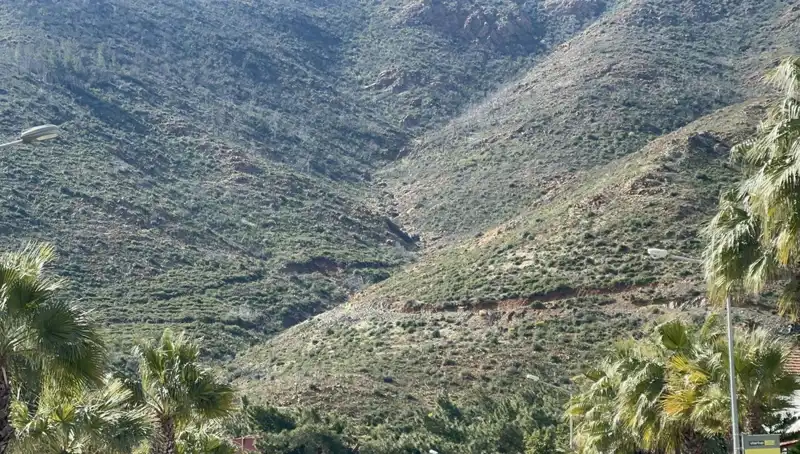Marmaris'in Yeniden Yeşermesi: Yangında Zarar Gören Ormanlar Fidana Dönüştü