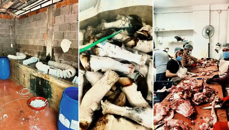 Adana'da Şok Eden Ele Geçirme: Yüzlerce Kilo Paça Sağlık Tehlikesi!