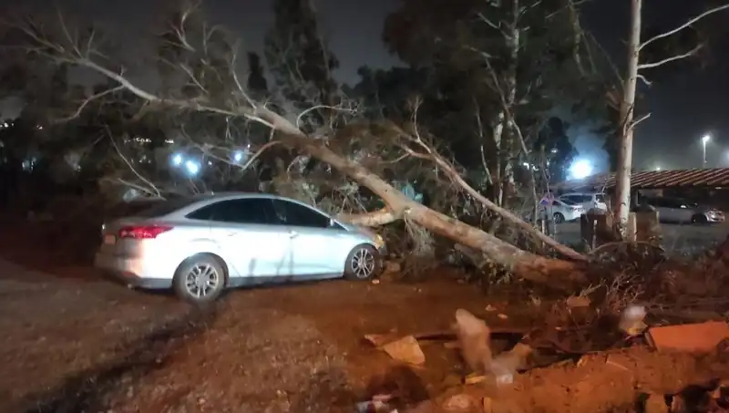 Hatay'da Şiddetli Fırtına, Tekneleri Devirdi ve Ağaçları Devrildi