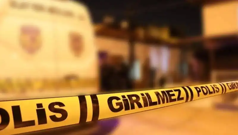 Diyarbakır'da Kayınpederin Dehşet Anları: Aileyi Buluşturan Korkunç Olay