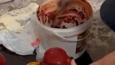 Salça Bidonunda Uyuşturucu Bulundu: Suç Ağı Çözüldü Mü?